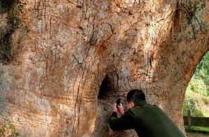 建阳佛教 建阳寺院