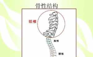 尾椎佛教叫什么 尾椎佛教