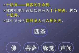 佛教生命种类 佛教把生命分为几个阶段