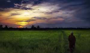 夕阳旧帘栊,一句弥陀好什么意思 夕阳佛教