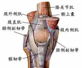 佛教腿疼什么因由 佛教右腿膝盖疼怎么回事