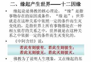 佛教是无根的教化 根本佛教