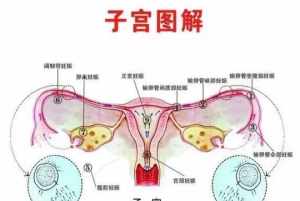 佛教妇科病的原因 妇科问题佛教怎么讲