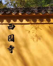 西园寺传普法师简历介绍 西园寺安上法师简历