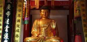 佛教感觉灵动 佛教中5大有灵性的动物