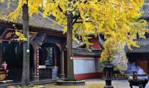 成都有名的佛寺 四川成都的佛教寺院