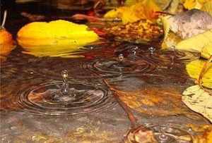 佛教说雨 佛教对雨的解释