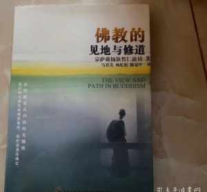 佛教的见地与修道pdf 佛教的见地与修道全文阅读