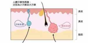 佛说腋臭的今生和前世 佛教治腋臭