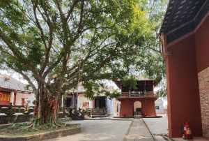 雷州寺院 雷州市佛教寺