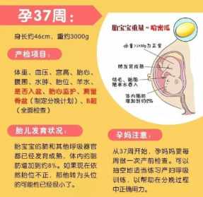 佛教说孕期各种症状 佛教讲怀孕