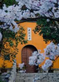 鹫峰寺能初法师 鹫峰寺塔里面是什么?