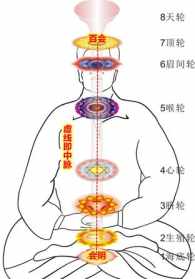 佛家中脉的具体位置 佛教所说的真正中脉