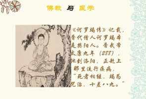 道证法师开示合集音频手机版 道证法师《佛医》