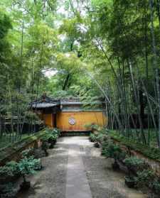 台州护国寺月净法师 天台山月净法师