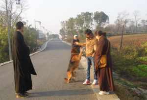 关于佛教的弘愿寺 关于佛教的弘愿寺有哪些