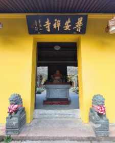 明心法师离开普安寺 明心法师为什么出家