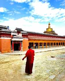 甘肃藏传佛教寺院排名 甘肃藏传佛教寺院