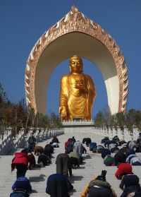 大恩法师信愿行 大恩法师开示