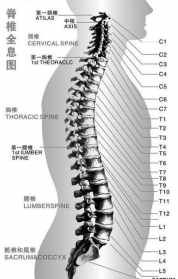 腰椎盘佛教 佛家医治腰椎间盘突出