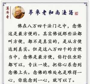 念佛智谕法师 念佛法要智谕法师