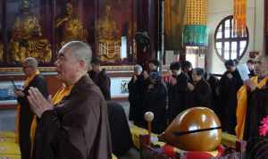 东林寺定圆法师多大 定林寺在哪