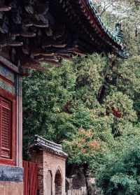 弥陀村佛教 弥陀禅寺