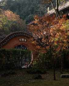 弥陀村佛教 弥陀禅寺