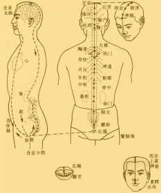 打通督脉哪几味中药 佛教督脉打通