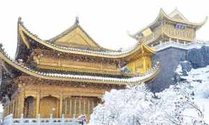 雪松佛教 雪松师父