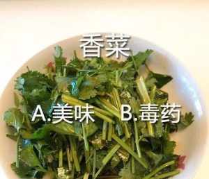 佛教徒不吃香菜的原因 学佛不吃香菜