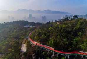 连云港海清寺庙慧宽法师 连云港海清寺庙