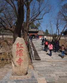 以寺养寺 以寺院为家