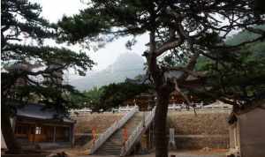 葫芦岛寺庙排名榜 葫芦岛市有名的寺庙