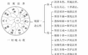 佛法的真谛视频 佛法的真相是什么呢