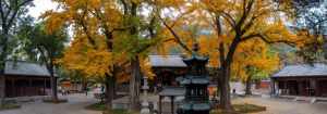 济南名寺院 济南13寺院都有哪些