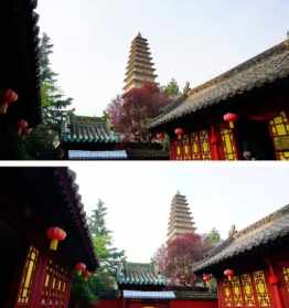 药林寺在哪里 药林寺是寺庙吗