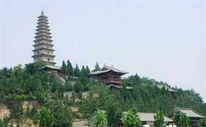 药林寺在哪里 药林寺是寺庙吗