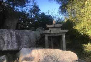 饶平县柘林村 饶平县柘林镇寺庙