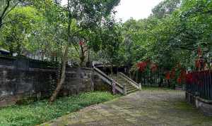 新津观音寺 新津观音寺佛教艺术