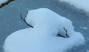 梦见雪佛滔 学佛人梦见雪是什么