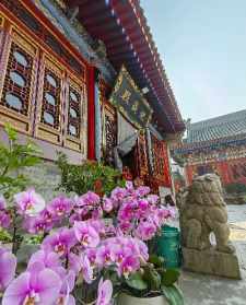 山东威海寺院 威海又现抢夺寺院