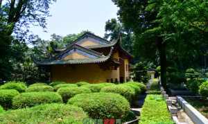 非洲本土佛教 非洲寺院