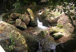 长安镇大岭山观音寺 长安到大岭山观音寺