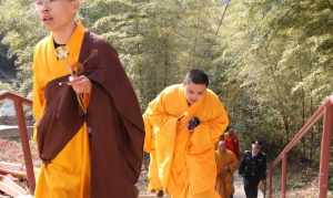 新兴福兴寺观音开光视频 新兴福兴寺观音开光