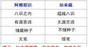 佛教中阿赖耶指什么 佛学阿赖耶识