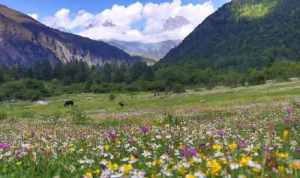 圣道法师个人简历 四川圣法师