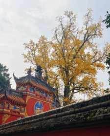 云顶山寺庙 云顶山寺庙图片