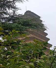 净土寺庙 西安净土宗的寺院内