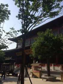 郑州大观音寺心经念诵视频 郑州大观音寺心经